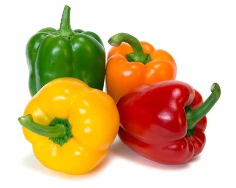 Green Pepper / Bell Pepper