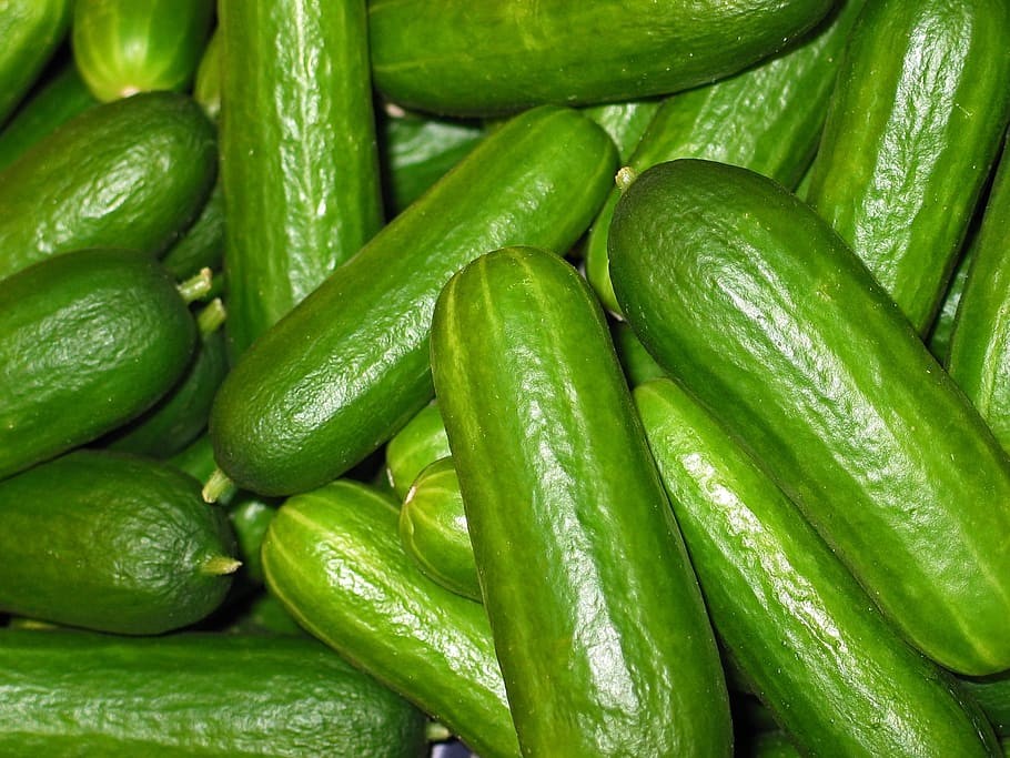 cucumber