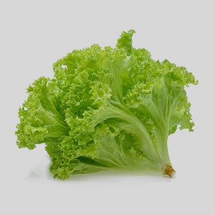 Lettuce